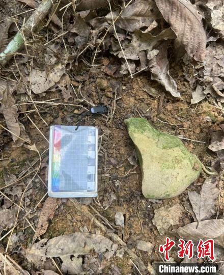 云南河口发现旧石器时代打制石器,云南河口发现旧石器时代打制石器