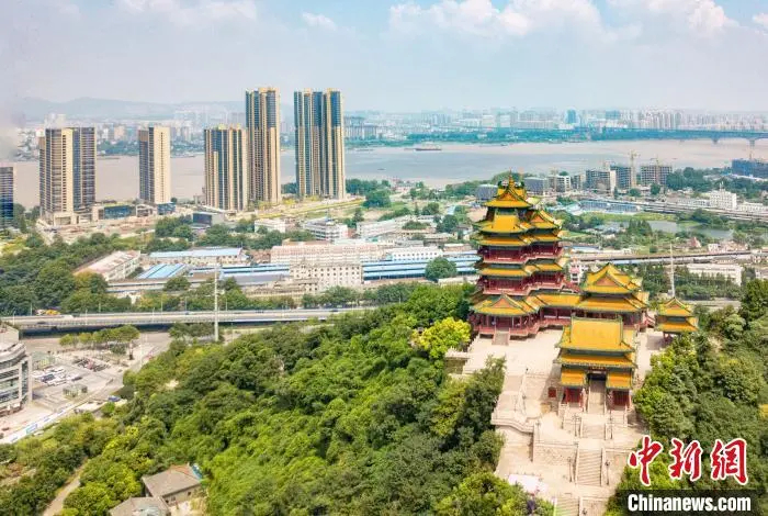 620年前，郑和船队带回了什么？,620年前，郑和船队带回了什么？