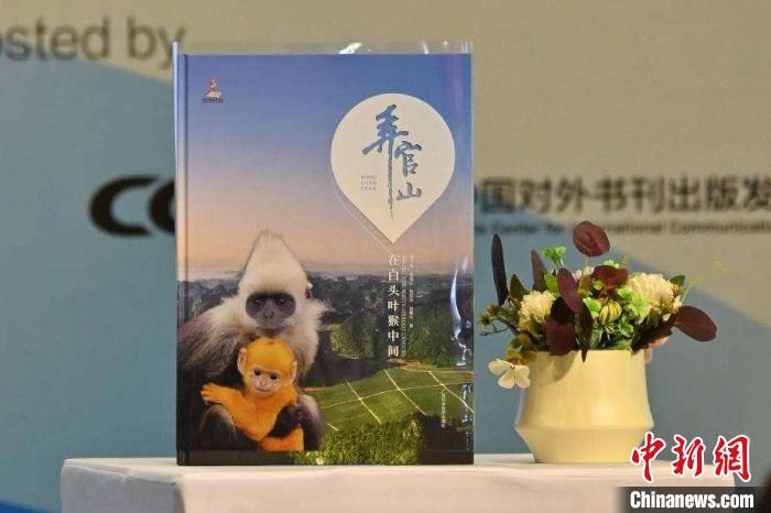 《弄官山》阅读分享会在广西南宁举行 关注白头叶猴保护,《弄官山》阅读分享会在广西南宁举行 关注白头叶猴保护