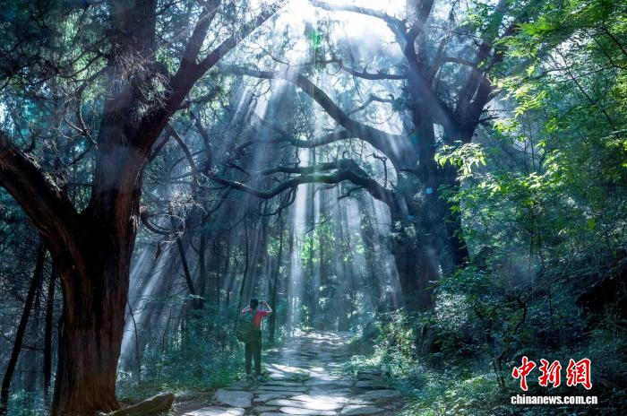 中意专家四川共话线性文化遗产保护 盼深化国际交流合作,中意专家四川共话线性文化遗产保护 盼深化国际交流合作