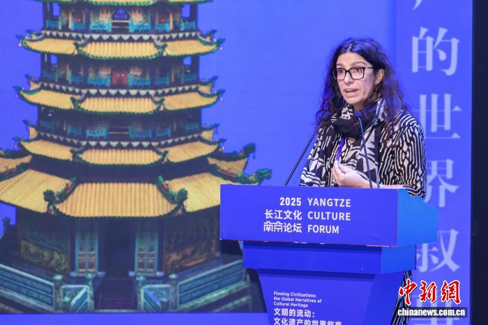 中外专家聚焦大河文明与可持续发展的全球共识,中外专家聚焦大河文明与可持续发展的全球共识